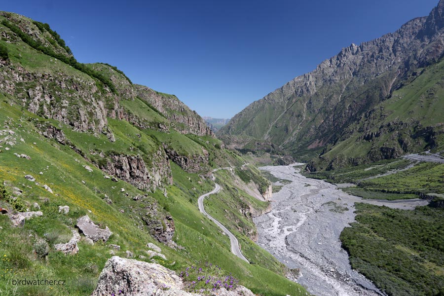 kazbegi9473