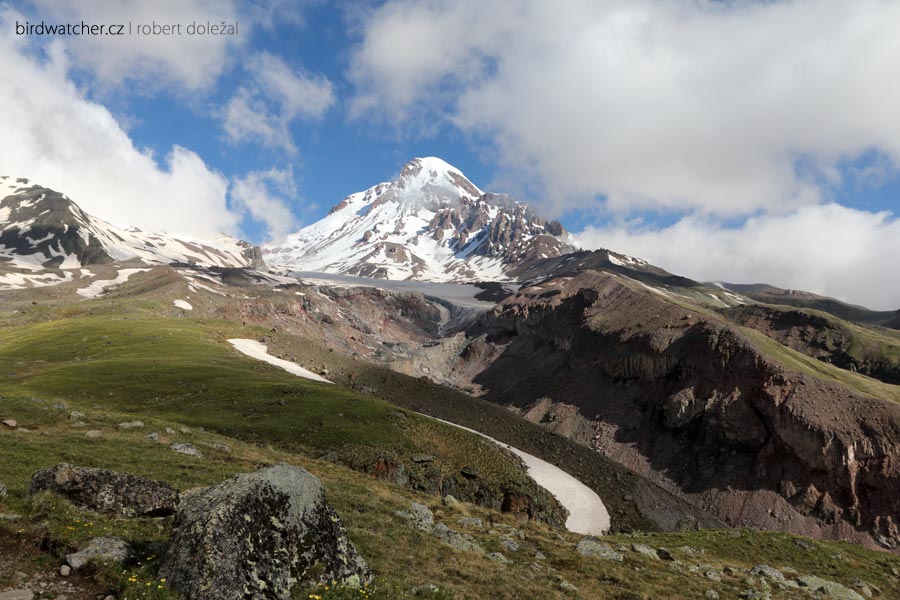 kazbek9387